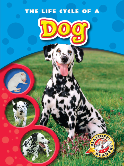 Title details for The Life Cycle of a Dog by Mandy Kaplan - Wait list